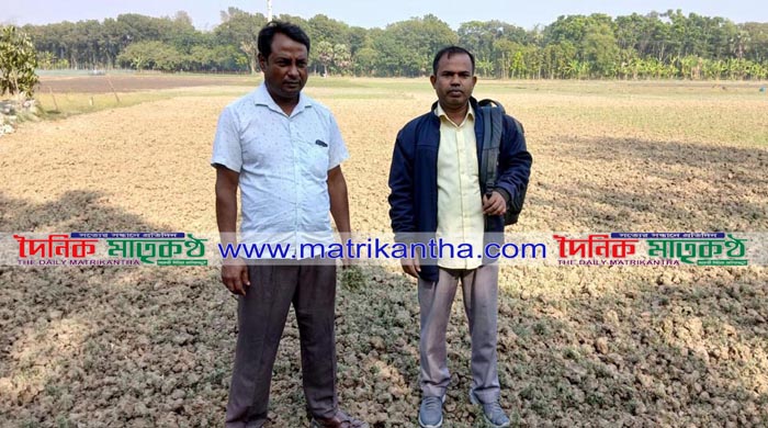 আহলাদীপুরে এক কৃষকের মসুরি ক্ষেতে বিষ স্প্রে করে ফসল নষ্ট করেছে দুর্বৃত্তরা